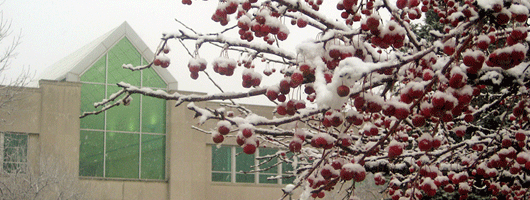 IU South Bend in winter