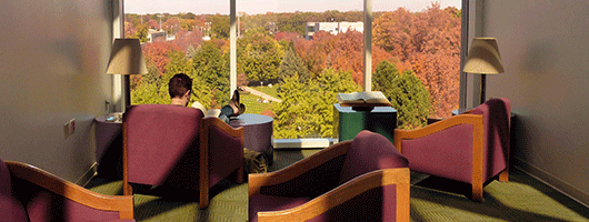 Students studying in the Hammes Library at IU South Bend