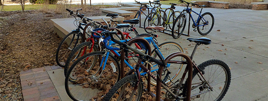 bicycles at Wiekamp Hall